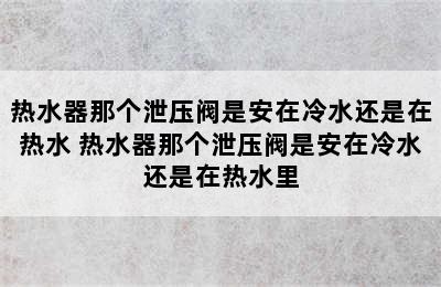 热水器那个泄压阀是安在冷水还是在热水 热水器那个泄压阀是安在冷水还是在热水里